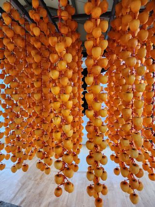 알 수 없음님의 자유주제 · 사진전 작성글 사진