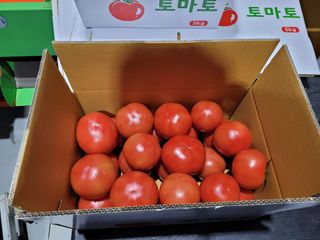 김태원님의 자유주제 · 사진전 작성글 사진