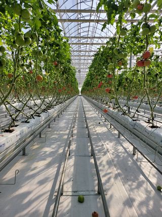 김태원님의 자유주제 · 사진전 작성글 사진