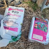 팜모닝 고추·일상 게시글 이미지