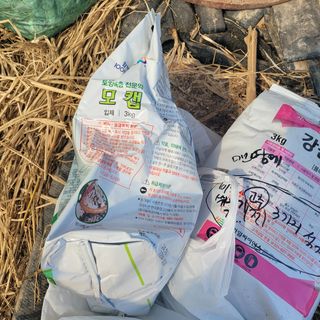 곽동임님의 고추 · 일상 작성글 사진