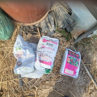 곽동임님의 고추 · 일상 작성글 사진