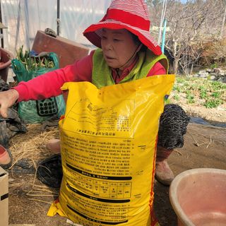 곽동임님의 고추 · 일상 작성글 사진