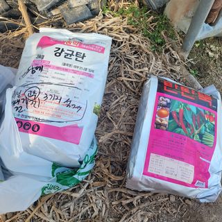 곽동임님의 고추 · 일상 작성글 사진
