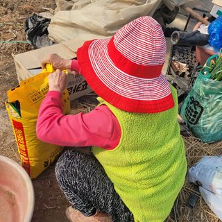 곽동임님의 고추 · 일상 작성글 사진