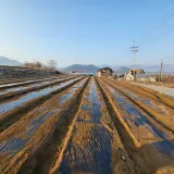 팜모닝 기타작물·자유게시판 게시글 이미지