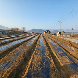 상호현님의 기타작물 · 자유게시판 작성글 사진