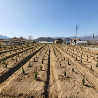 상호현님의 기타작물 · 자유게시판 작성글 사진