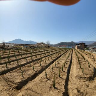상호현님의 기타작물 · 자유게시판 작성글 사진