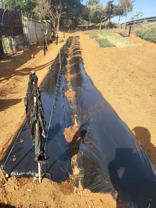 체리123님의 기타작물 · 자유게시판 작성글 사진