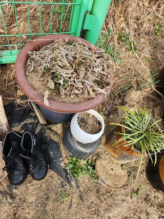 고영희님의 자유주제 · 자유게시판 작성글 사진