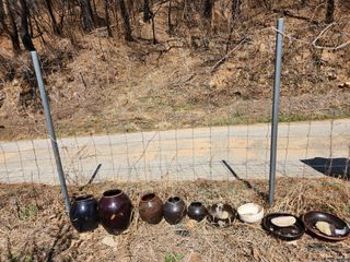 고영희님의 자유주제 · 자유게시판 작성글 사진