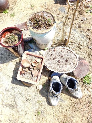 고영희님의 자유주제 · 자유게시판 작성글 사진