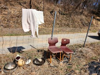 고영희님의 자유주제 · 자유게시판 작성글 사진