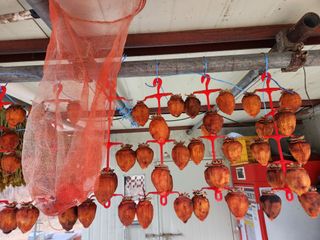 고영희님의 자유주제 · 자유게시판 작성글 사진