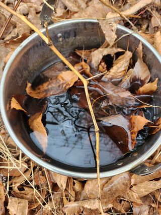 고영희님의 자유주제 · 자유게시판 작성글 사진