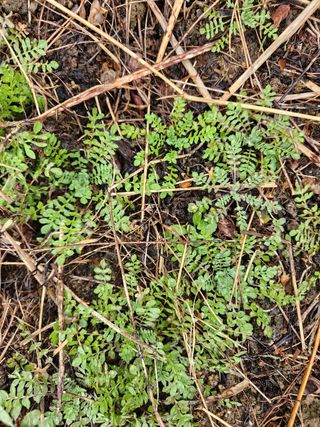 고영희님의 자유주제 · 자유게시판 작성글 사진