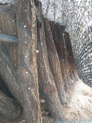 황대헌님의 자유주제 · 사진전 작성글 사진