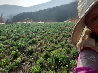 한을미님의 작성글 사진