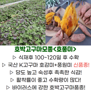 김동수님의 작성글 사진