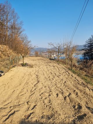 김북규님의 포도 · 자유게시판 작성글 사진