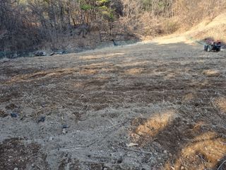 김북규님의 포도 · 자유게시판 작성글 사진