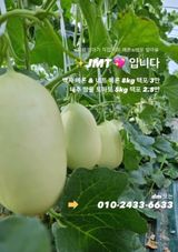 팜모닝 자유주제·사진전 게시글 이미지