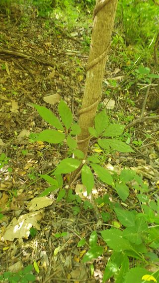 조영석님의 자유주제 · 사진전 작성글 사진