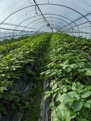 김형진님의 자유주제 · 사진전 작성글 사진