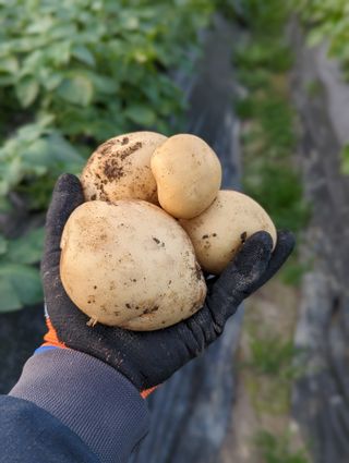 김형진님의 자유주제 · 사진전 작성글 사진