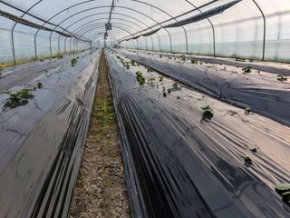 김형진님의 자유주제 · 사진전 작성글 사진