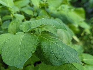 김형진님의 자유주제 · 사진전 작성글 사진