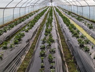 김형진님의 자유주제 · 사진전 작성글 사진