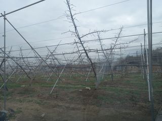 서애 기원님의 자유주제 · 자유게시판 작성글 사진