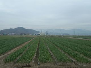 서애 기원님의 자유주제 · 자유게시판 작성글 사진