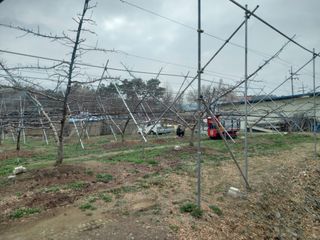 서애 기원님의 자유주제 · 자유게시판 작성글 사진