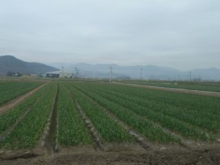 서애 기원님의 자유주제 · 자유게시판 작성글 사진