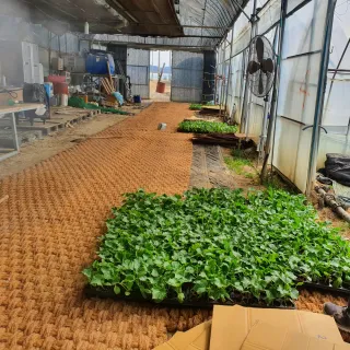 김인선님의 오이 · 자유게시판 작성글 사진