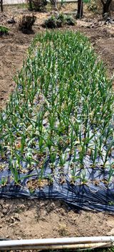 팜모닝 자유주제·사진전 게시글 이미지