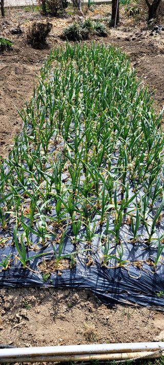 조준태 님의 자유주제 · 사진전 작성글 사진