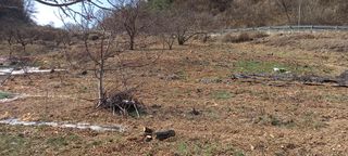 장만월님의 자유주제 · 사진전 작성글 사진