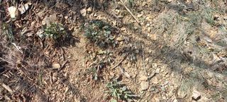 장만월님의 자유주제 · 사진전 작성글 사진