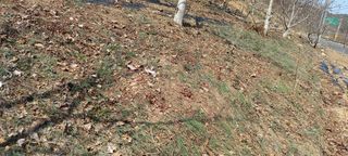 장만월님의 자유주제 · 사진전 작성글 사진