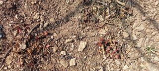 장만월님의 자유주제 · 사진전 작성글 사진