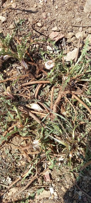 장만월님의 자유주제 · 사진전 작성글 사진