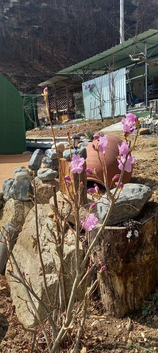 장만월님의 자유주제 · 사진전 작성글 사진