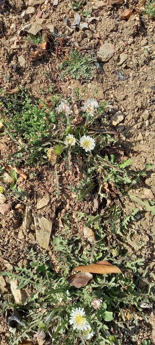 장만월님의 자유주제 · 사진전 작성글 사진