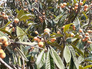 김 영심님의 자유주제 · 사진전 작성글 사진