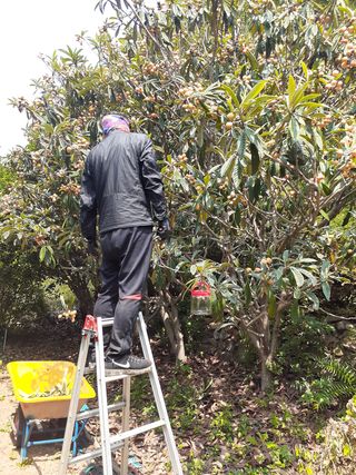 김 영심님의 자유주제 · 사진전 작성글 사진