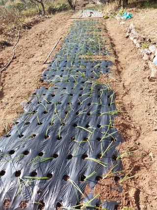 김 영심님의 자유주제 · 사진전 작성글 사진